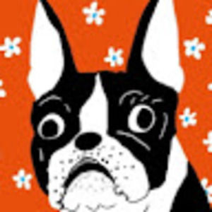 Meet your Posher, Carly